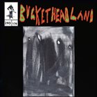 BUCKETHEAD — Pike 293 - Oven Mitts album cover