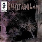 BUCKETHEAD — Pike 193 - 14 Days Til Halloween: Voice From The Dead Forest album cover