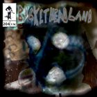 BUCKETHEAD — Pike 204 - 3 Days Til Halloween: Crow Hedge album cover