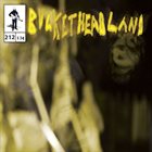 BUCKETHEAD Pike 212 - Hornet album cover