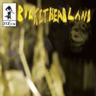 BUCKETHEAD — Pike 212 - Hornet album cover