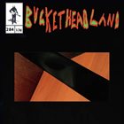 BUCKETHEAD Pike 284 - Through The Looking Garden album cover