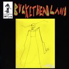 BUCKETHEAD Pike 287 - Electrum album cover