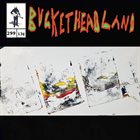 BUCKETHEAD Pike 299 - Thought Pond album cover