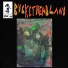BUCKETHEAD Pike 300 - Quarry album cover