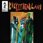 BUCKETHEAD — Pike 303 - Castle of Franken Berry album cover