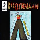 BUCKETHEAD Pike 304 - Rainbow Bridge album cover