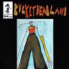 BUCKETHEAD — Pike 304 - Rainbow Bridge album cover