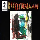 BUCKETHEAD Pike 307 - Mercury Break album cover