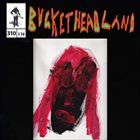 BUCKETHEAD Pike 310 - In the Laboratory of Doctor Septimus Pretorius album cover