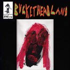 BUCKETHEAD — Pike 310 - In the Laboratory of Doctor Septimus Pretorius album cover