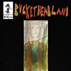 BUCKETHEAD Pike 312 - Gary Fukamoto My Childhood Best Friend Thanks for All the Times We Played Together album cover