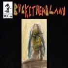 BUCKETHEAD Pike 313 - Vincent Price SHRUNKEN HEAD Apple Sculpture album cover