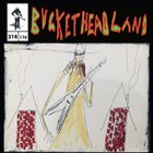 BUCKETHEAD Pike 314 - Rooster Coaster album cover