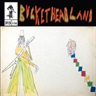 BUCKETHEAD Pike 315 -  Arboretum album cover