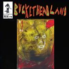 BUCKETHEAD — Pike 323 - Thank You Taylor album cover