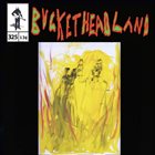 BUCKETHEAD Pike 325 - Language of the Mosaics album cover