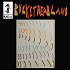 BUCKETHEAD Pike 420 - Echoing Eyes album cover