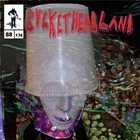 BUCKETHEAD — Pike 88 - Red Pepper Restaurant album cover