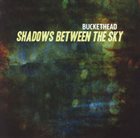 BUCKETHEAD Shadows Between the Sky album cover