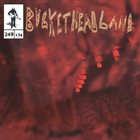 BUCKETHEAD — Pike 249 - The Moss Lands album cover