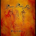 BURN BLUE SKY Celebrate the Decline album cover
