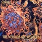 CADUCITY The Weiliaon Wielder Quest album cover