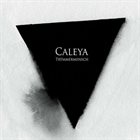 CALEYA Trümmermensch album cover