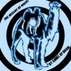 CAMEL OF DOOM The Desert at Night album cover