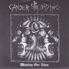 CANCER SPREADING Wasting Our Lives / Post Nuclear Drunk Warriors album cover