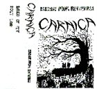 CARNIÇA Release From Rotteness album cover