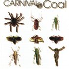 CARNIVAL IN COAL Fear Not album cover