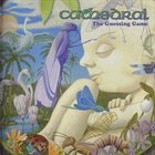 CATHEDRAL The Guessing Game album cover