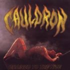 CAULDRON Chained to the Nite album cover