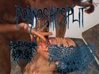 CHEERLEADER CONCUBINE PornoShitSplit album cover