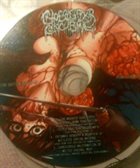 CHEERLEADER CONCUBINE Promo album cover