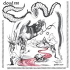 CLOUD RAT Pollinator album cover