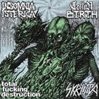 COFFIN BIRTH Total Fucking Destruction / Coffin Birth / Insomnia Isterica / Skruta album cover