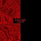 COLTAN LEECH A Seduction Of Shadows album cover