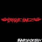 CRASHIE TUNEZ xNINTENxDEATHx album cover