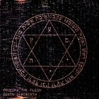 CRUCIFY THE FLESH Death | Rebirth album cover