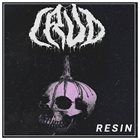 CRUD Resin album cover