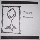 CULTURE Culture / Roosevelt album cover