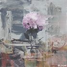 CURSES Chapter II: Bloom album cover
