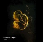 CYPECORE Identity album cover