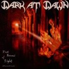 DARK AT DAWN First Beams of Light album cover