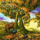 DARK FOREST — Beyond the Veil album cover