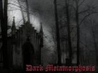 DARK METAMORPHOSIS Alucard on Our Side album cover
