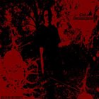 DARK METAMORPHOSIS Blood Burden album cover