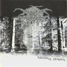 DARKTHRONE Ravishing Grimness album cover